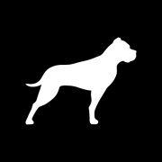 Bullhound Capital