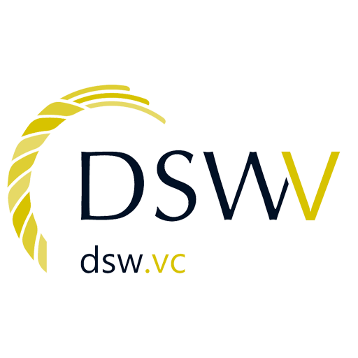 DSW Ventures