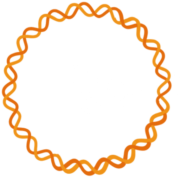 Rapidemic